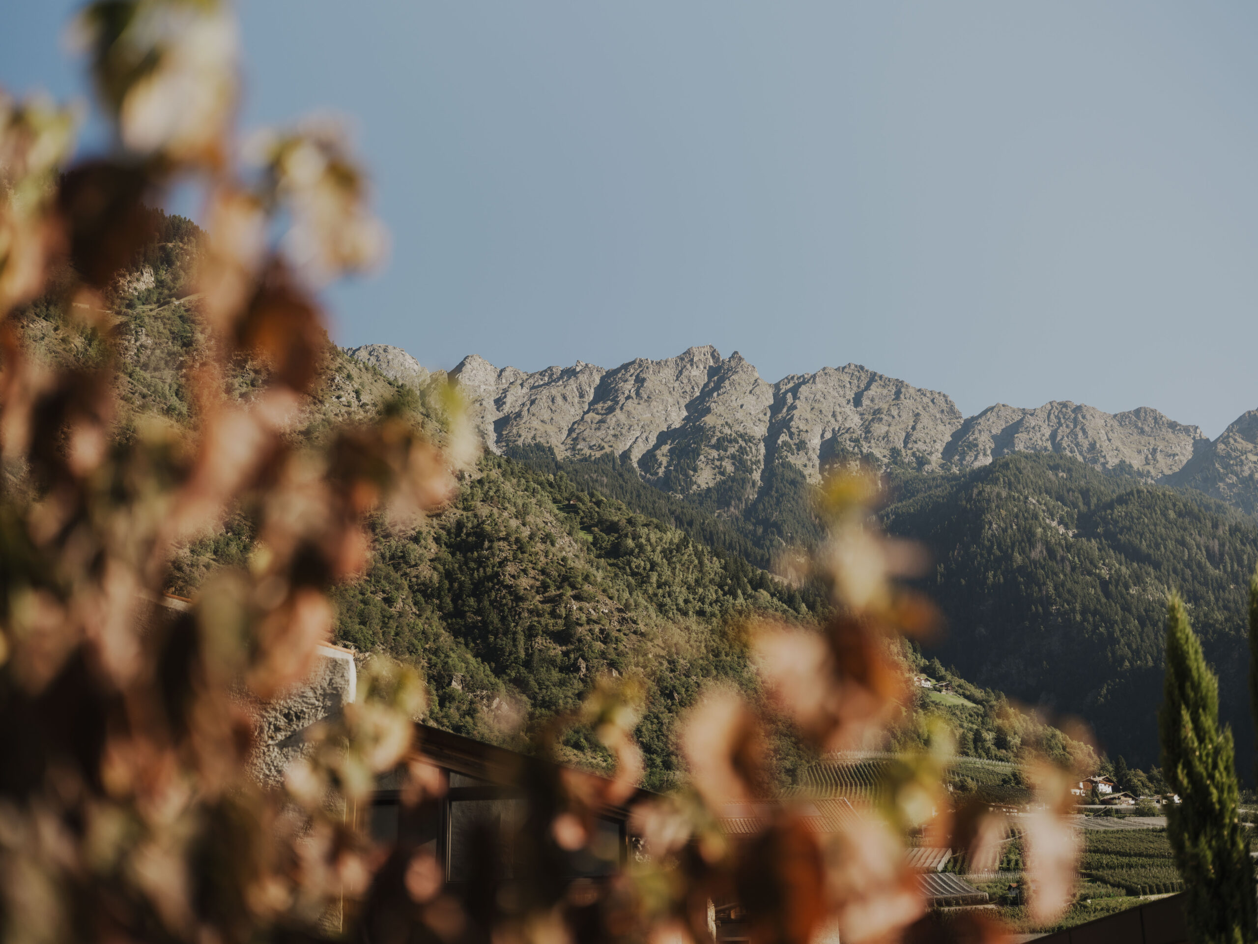 250918_ANSITZ_MAIRHOF_Fotoshooting_©FelixBacher-20